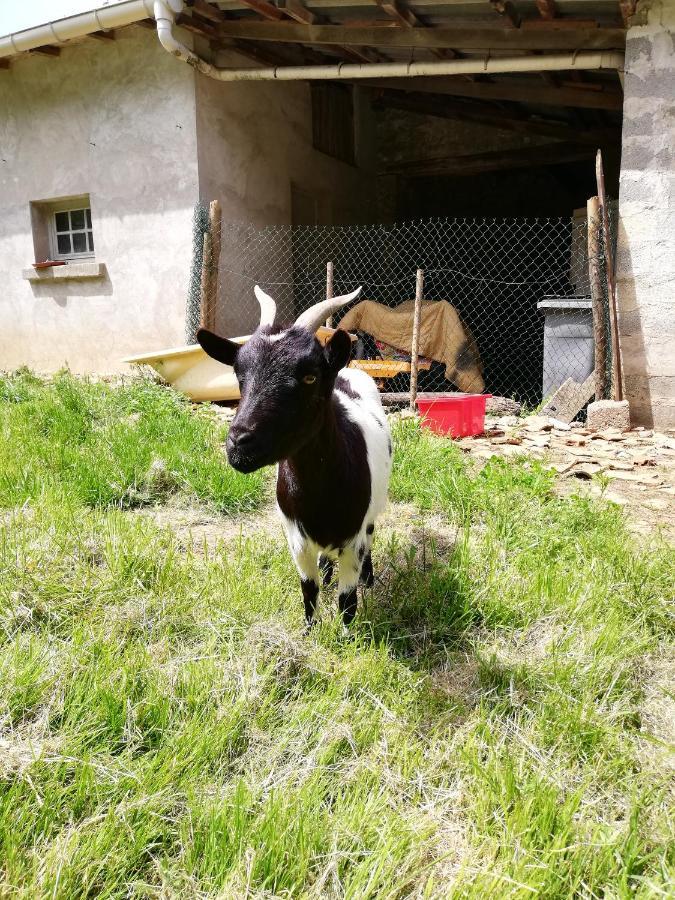 Yourte Mongole Veritable * Montcaret